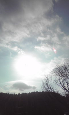 101121_1223~02.jpg